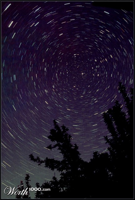 Photography by narvin