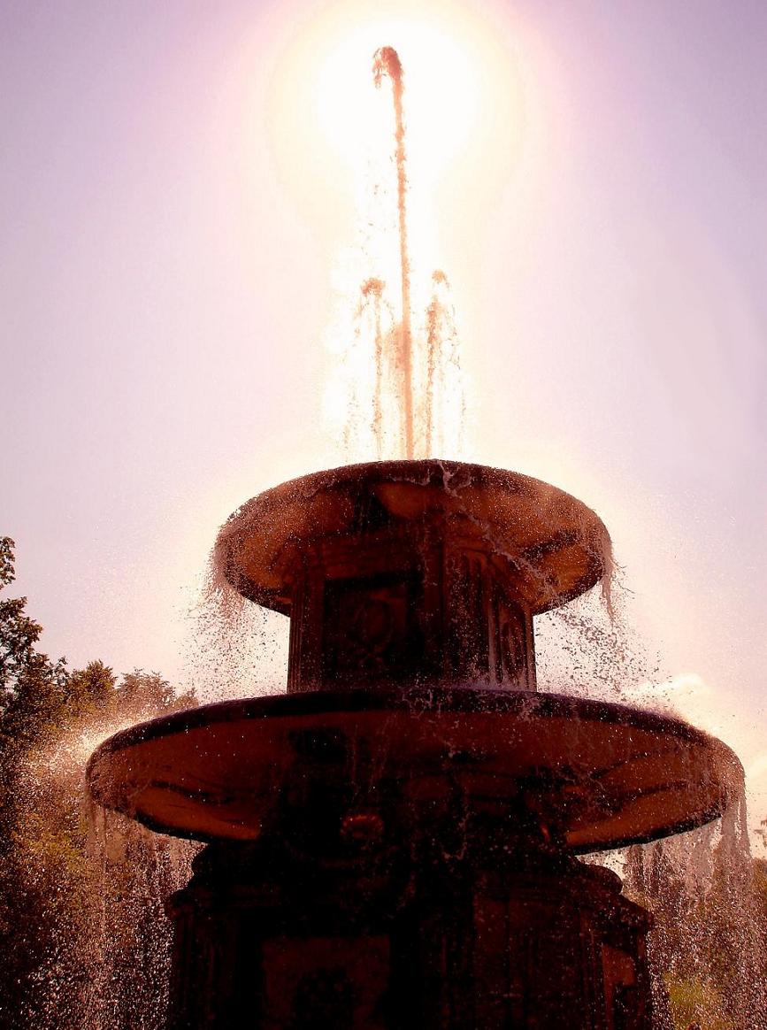 Photography by mangoslushy for DesignCrowd (Community Contests) | Design #9014611