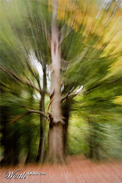 Photography by Marian