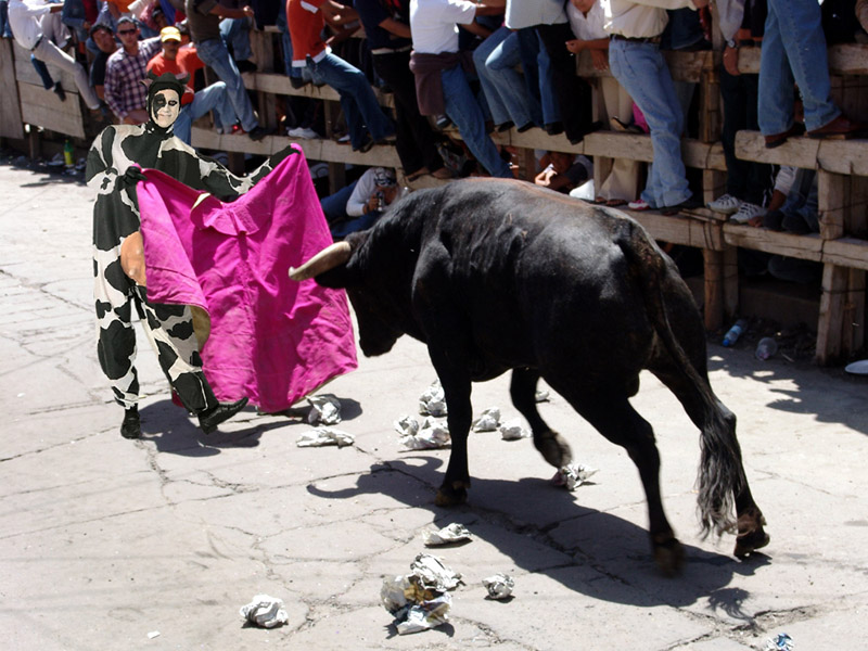 Photoshop Design by JeanLuc99 for DesignCrowd (Community Contests) | Design #9014003