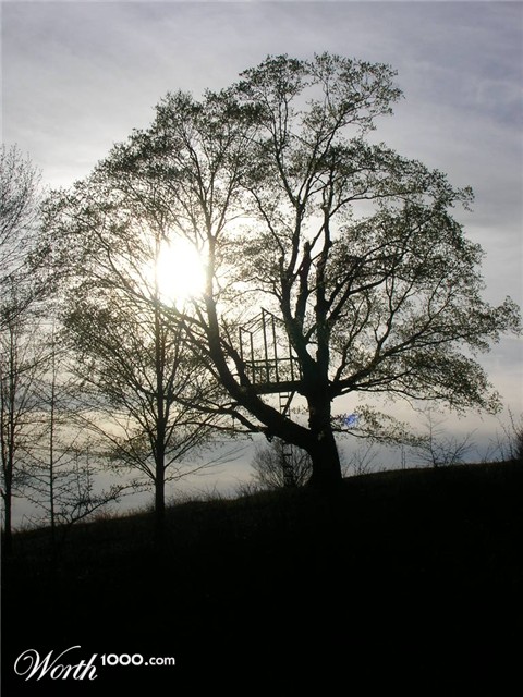 Photography by Banana2oo8