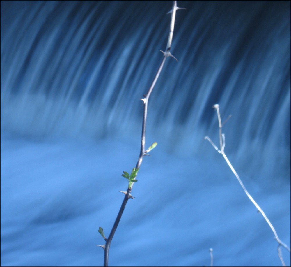 Fotografie von spincast1123 für DesignCrowd (Community Contests) | Design #9017307