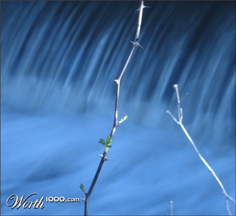 Photography by spincast1123