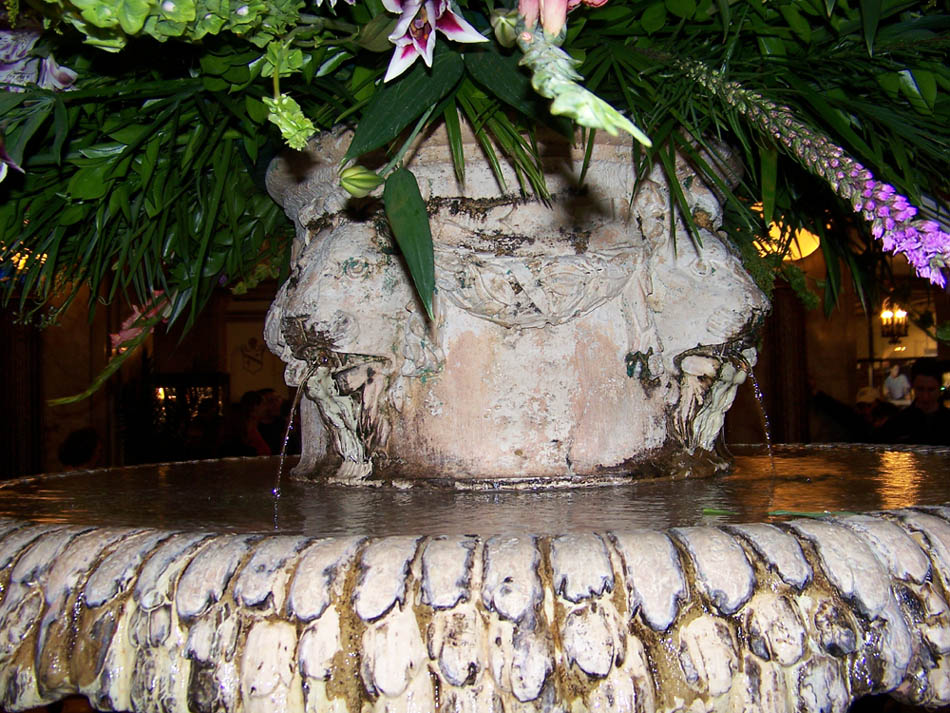 Photographie par trumpy303 pour DesignCrowd (Community Contests) | Design #9014610