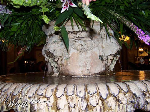 Photography by trumpy303