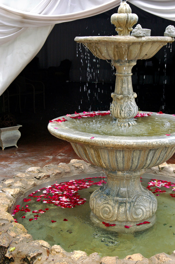 Photography by splong for DesignCrowd (Community Contests) | Design #9014617