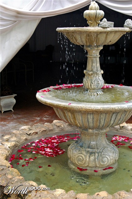 Photography by splong