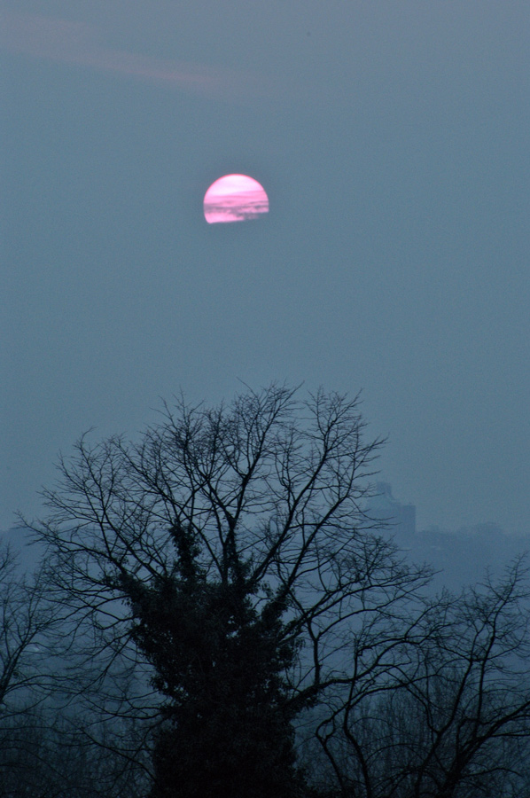 Photography by splong for DesignCrowd (Community Contests) | Design #9014932