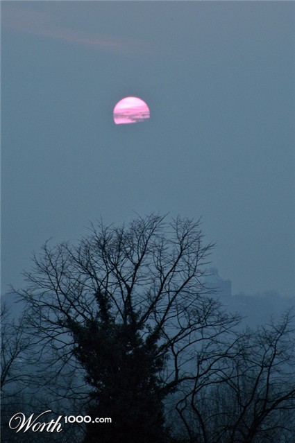 Photography by splong