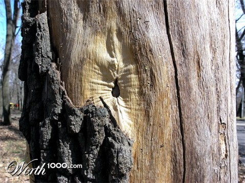 Photography by Inquisitive