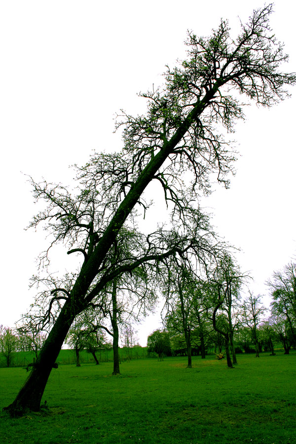 Fotografía por lkGaia para DesignCrowd (Community Contests) | Diseño #9014913