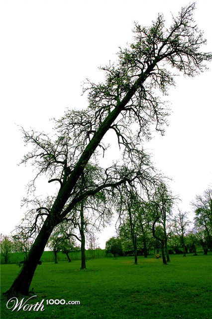 Photography by lkGaia