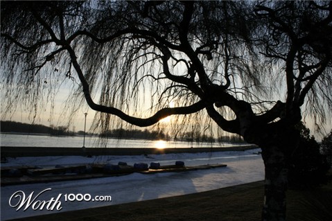 Photography by nazka2002