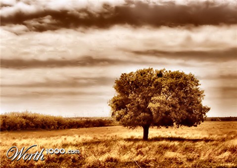 Photography by Suziecuchon