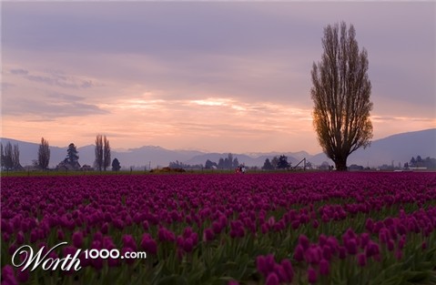 Photography by frankacaba
