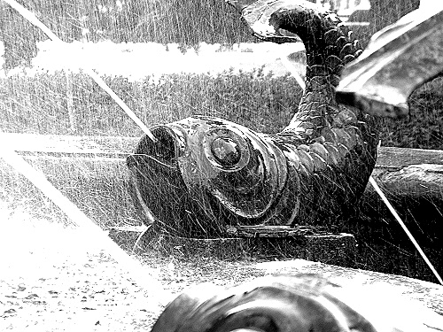 Photography by banateanul for DesignCrowd (Community Contests) | Design #9014620