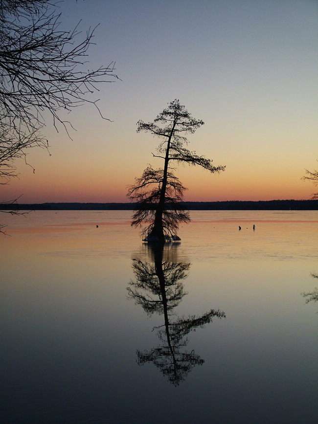 Photography by nedradio for DesignCrowd (Community Contests) | Design #9015019