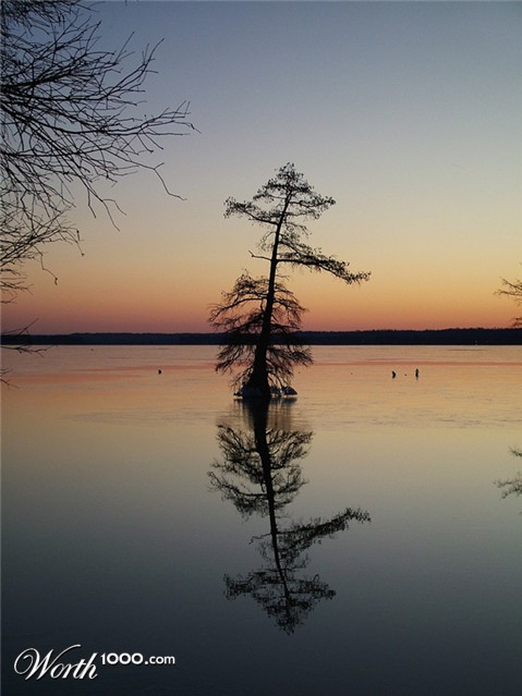 Photography by nedradio