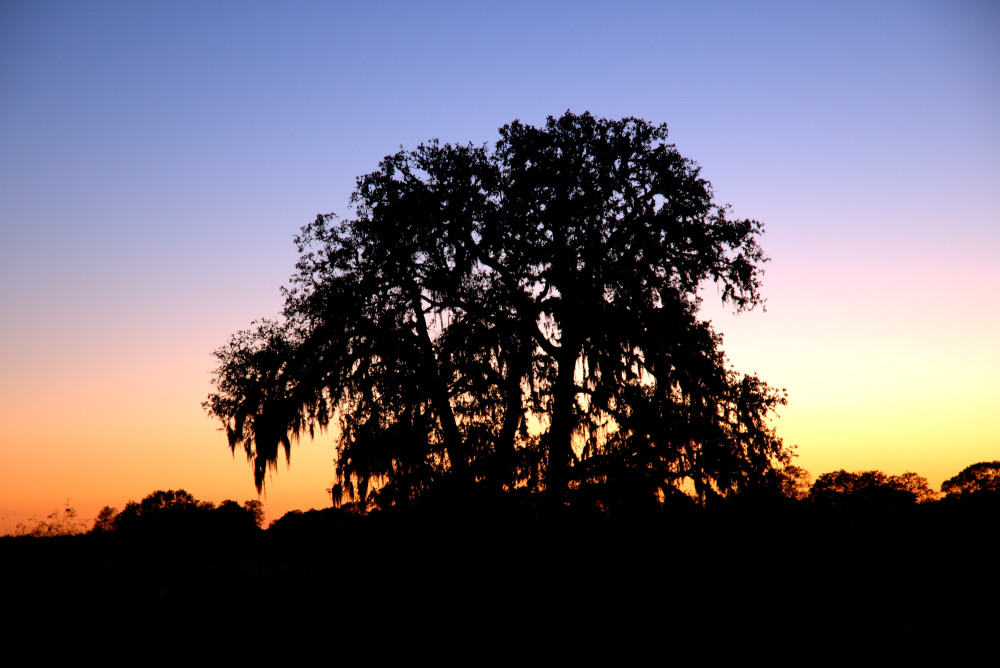Photography by ejcphoto for DesignCrowd (Community Contests) | Design #9015055