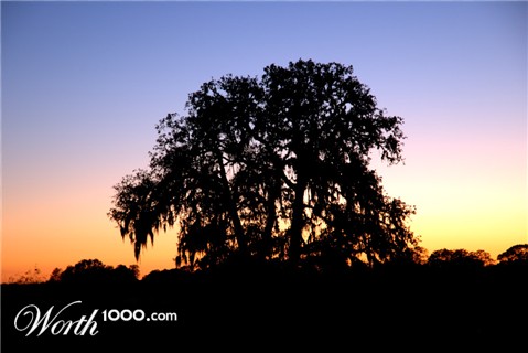 Photography by ejcphoto