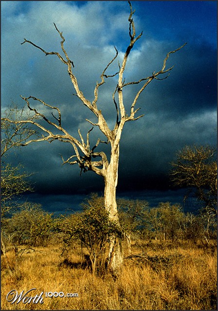 Photography by droomluiperd