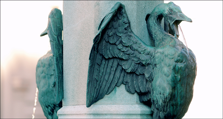 Photography by Choane for DesignCrowd (Community Contests) | Design #9014647