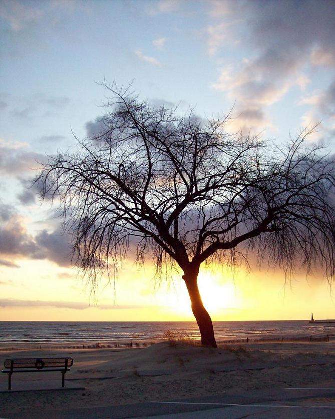 Fotografie von MisPuppetz für DesignCrowd (Community Contests) | Design #9015059