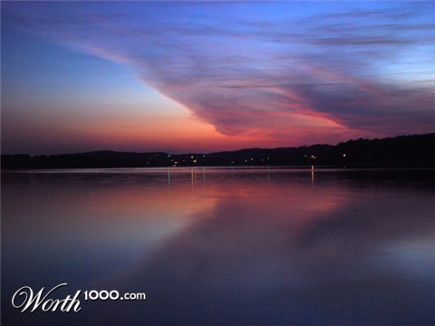 Photography by greenwillows
