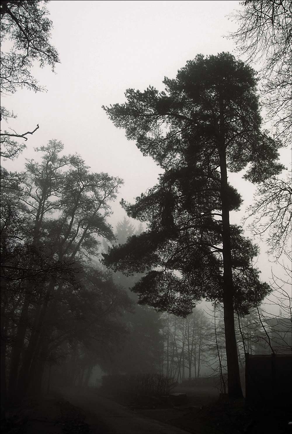 Photographie par Massie pour DesignCrowd (Community Contests) | Design #9015012