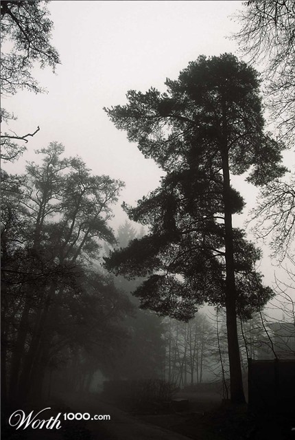 Photography by Massie