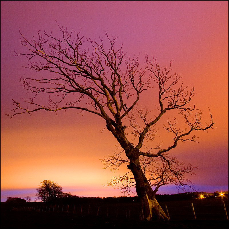 Fotografie von SigloV für DesignCrowd (Community Contests) | Design #9014971