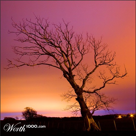 Photography by SigloV