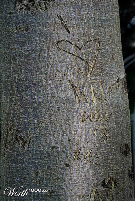 Photography by gymp93