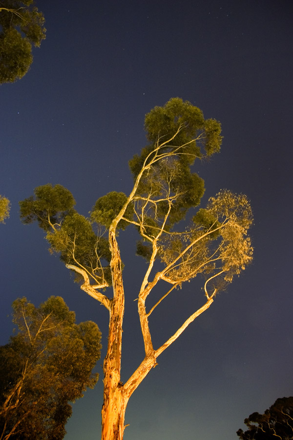 Photographie par isaidwhat pour DesignCrowd (Community Contests) | Design #9014956