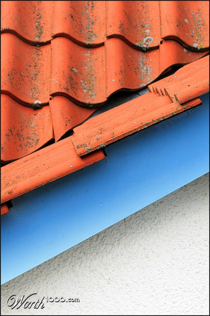 Photography by SigloV