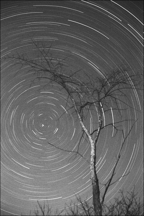 Photographie par Six-Something pour DesignCrowd (Community Contests) | Design #9017360