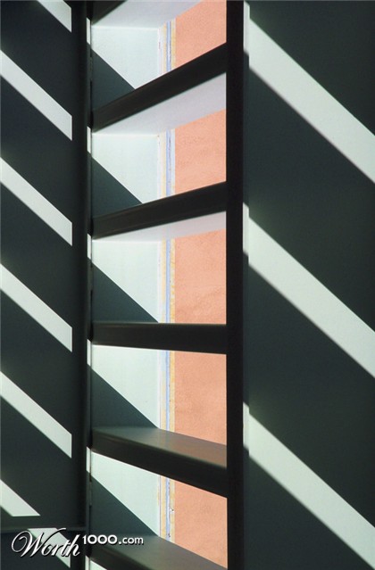 Photography by taranoella