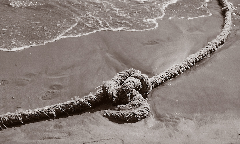 Fotografía por IsleofJura para DesignCrowd (Community Contests) | Diseño #9016917