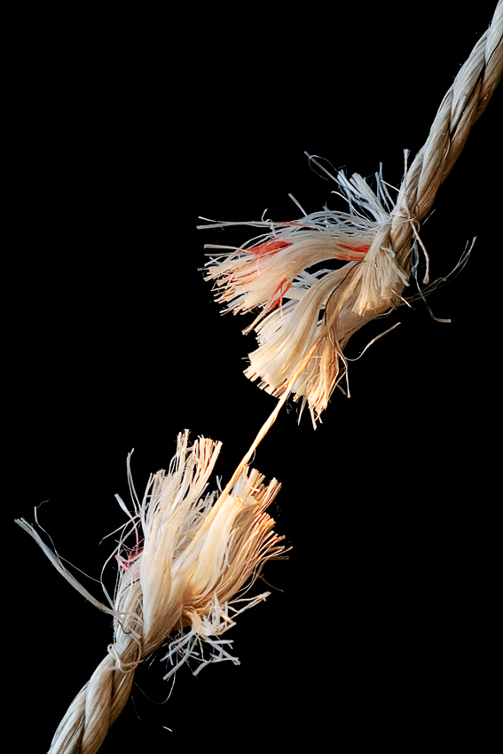 Photography by Marian for DesignCrowd (Community Contests) | Design #9016940