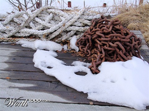 Photography by luccir