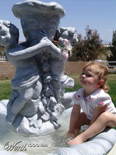 Photography by luccir