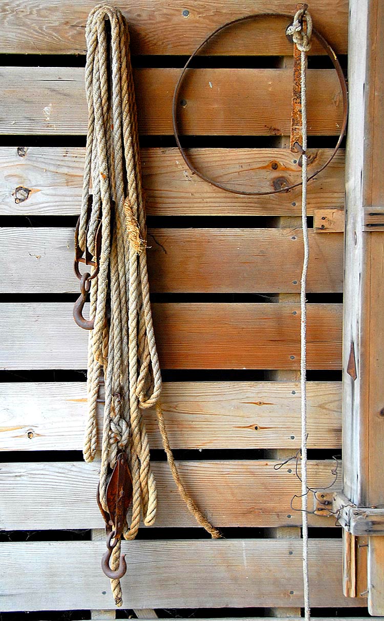 Photography by cshutt for DesignCrowd (Community Contests) | Design #9016955