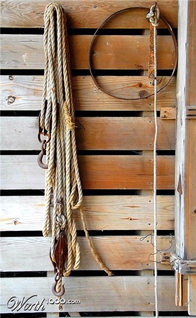 Photography by cshutt