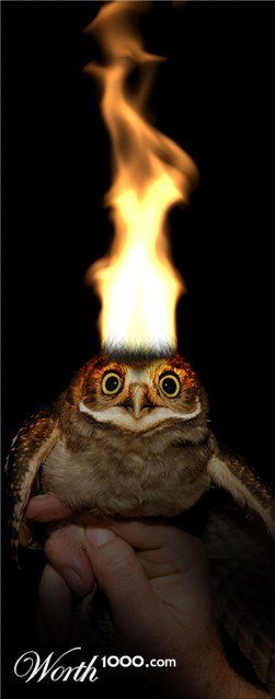 Photoshop Design by Killington