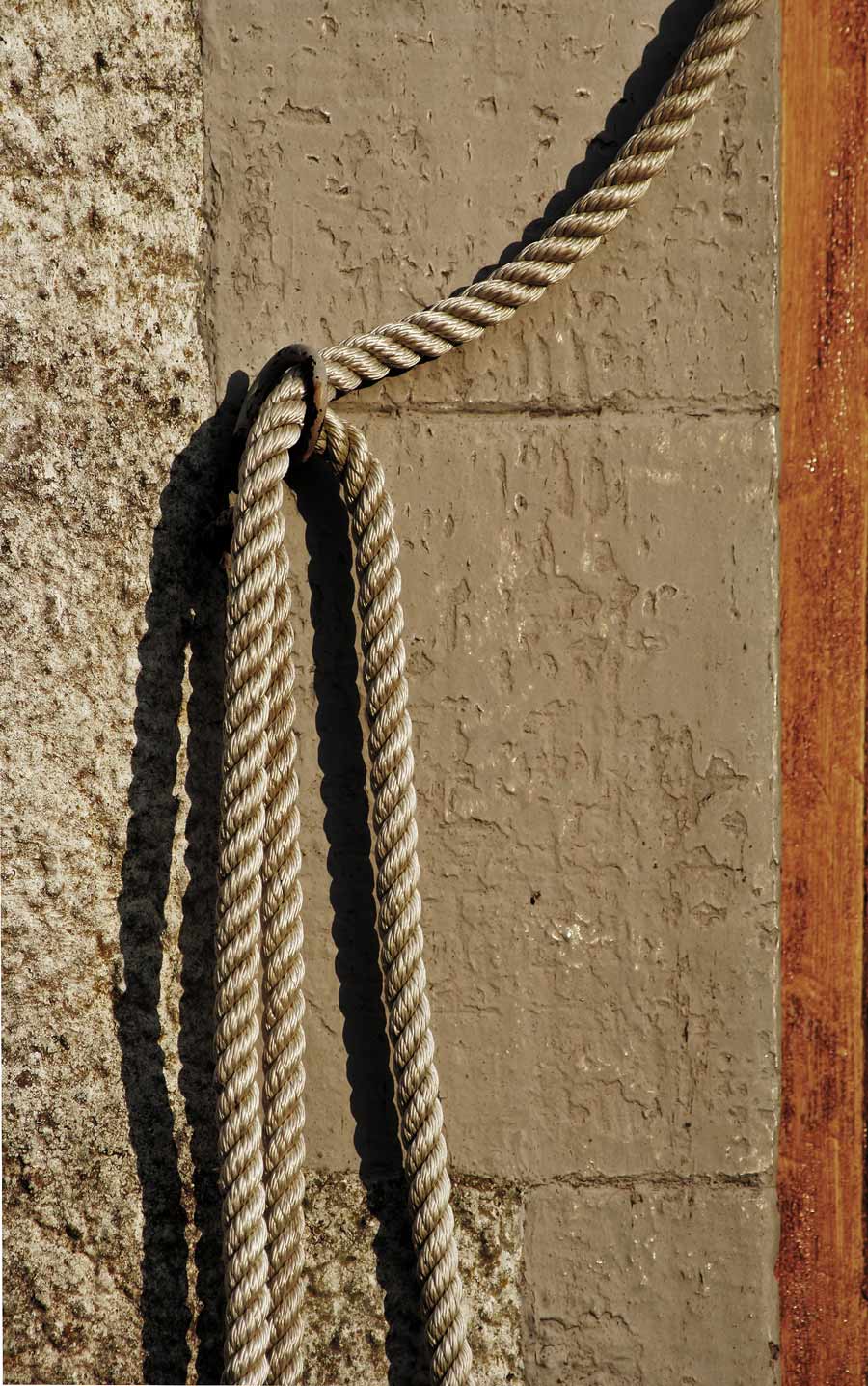 Photographie par Massie pour DesignCrowd (Community Contests) | Design #9016949