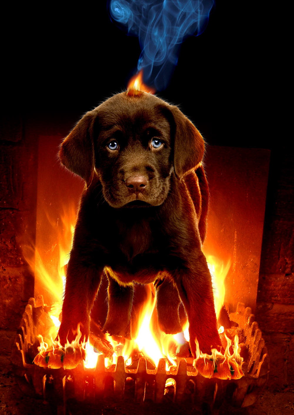 Photoshop Design by davidberettaowens for DesignCrowd (Community Contests) | Design #9015857