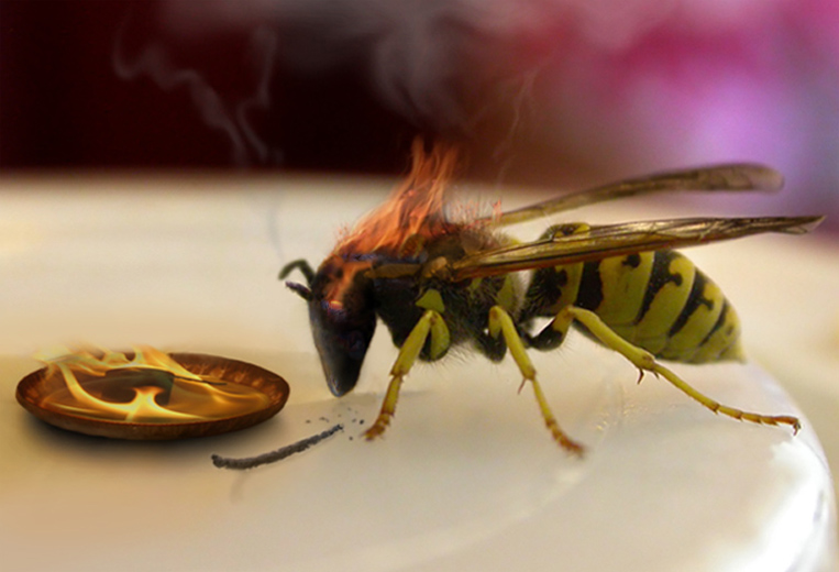 Photoshop-Design von Plebite für DesignCrowd (Community Contests) | Design #9015930