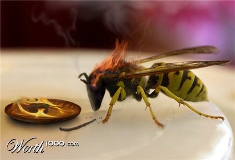 Photoshop Design by Plebite