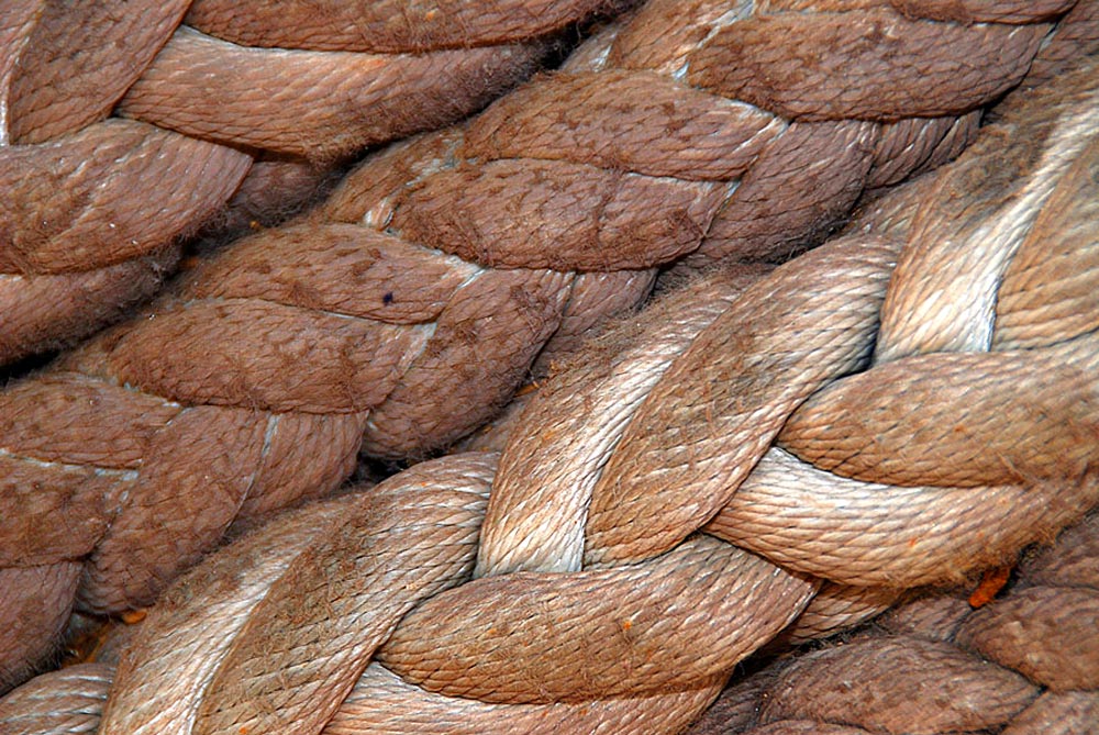 Fotografía por gymp93 para DesignCrowd (Community Contests) | Diseño #9017009