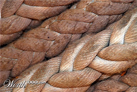 Photography by gymp93